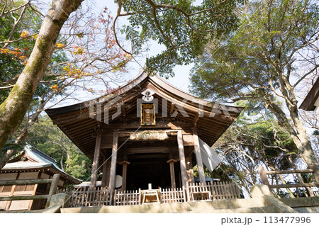 志賀海神社＜福岡県福岡市/2023年12月＞ 113477996