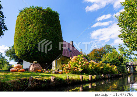 Scenic view of green riverside garden house german national park Spreewald on spring summer sunny day . Spree river forest greenery canal nature tranquil landscape in Germany blue sky background Scenic view of green riverside garden house german national park Spreewald on spring summer sunny day . Spree river forest greenery canal nature tranquil landscape in Germany blue sky background 113478766