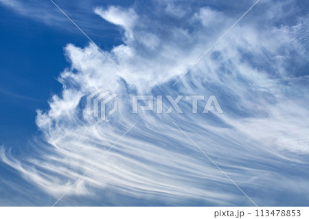 青空に白い雲 113478853