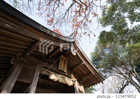 志賀海神社＜福岡県福岡市/2023年12月＞ 113479052