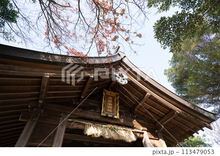 志賀海神社＜福岡県福岡市/2023年12月＞ 113479053