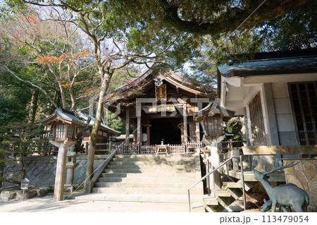 志賀海神社＜福岡県福岡市/2023年12月＞ 113479054