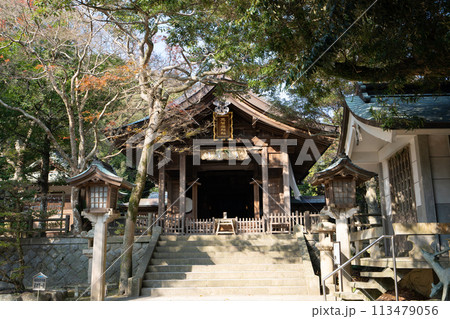 志賀海神社＜福岡県福岡市/2023年12月＞ 113479056