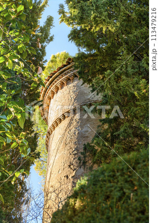 Between the green cypress and magnolia trees, part of the castle tower wall is visible against the blue sky. Vertical photo 113479216