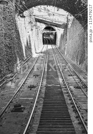 A pair of metal rails parallel to each other rise up the tunnel, overgrown with climbing plants with leaves. Black and white vertical photo A pair of metal rails parallel to each other rise up the tunnel, overgrown with climbing plants with leaves. Black and white vertical photo 113479217