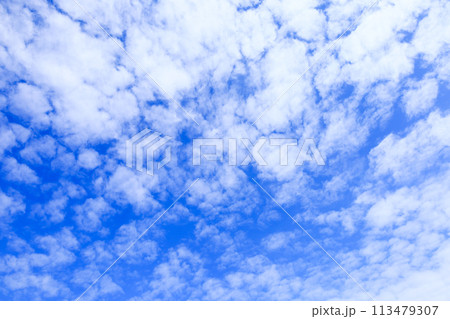 青空の背景 113479307