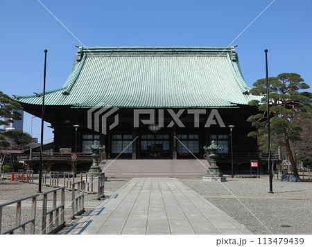 文京区の護国寺(本堂) 文京区の護国寺(本堂) 113479439