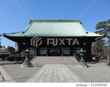 文京区の護国寺(本堂) 文京区の護国寺(本堂) 113479442