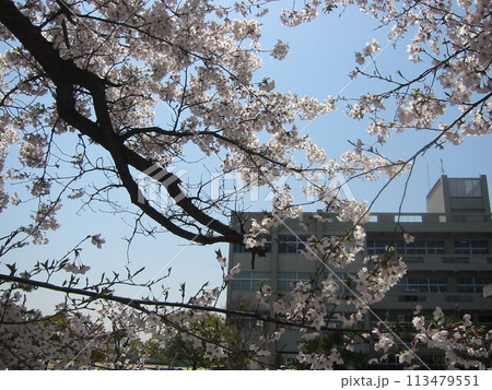 2004年・香川・宇多津・風景・其の二十二 113479551