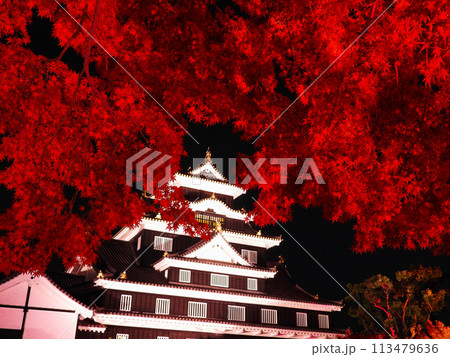 ライトアップされた岡山城とモミジ ライトアップされた岡山城とモミジ 113479636