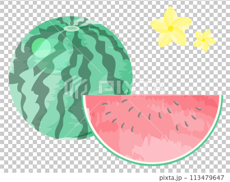 Illustration of cut watermelon 113479647