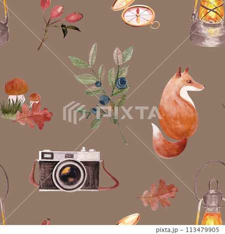 Fox with camera, compass mushrooms, watercolor seamless pattern on brown background. Hand drawn high quality art in simple style for woodland kids designs, textile, interior decor, stickers, logo Fox with camera, compass mushrooms, watercolor seamless pattern on brown background. Hand drawn high quality art in simple style for woodland kids designs, textile, interior decor, stickers, logo 113479905