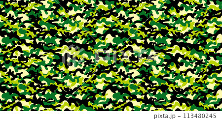 迷彩パターン　シームレス　背景素材 113480245