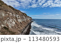 崖と海 113480593