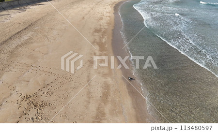 砂浜に続く足跡と犬 砂浜に続く足跡と犬 113480597