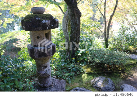 大洲　臥竜山荘 113480646