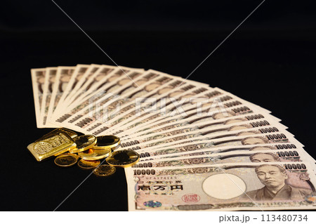 金貨などの実物資産とお札の共演 113480734