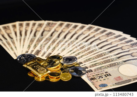 金貨などの実物資産とお札の共演 113480743
