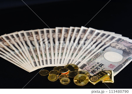 金貨などの実物資産とお札の共演 113480790