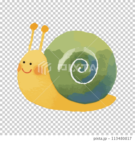 水彩で描いたカタツムリのイラスト 113480817