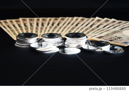 美しい輝きを放つ実物資産の銀貨と紙幣 113480880