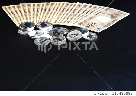 美しい輝きを放つ実物資産の銀貨と紙幣 113480883