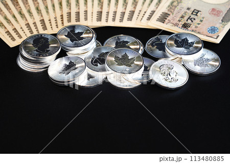 美しい輝きを放つ実物資産の銀貨と紙幣 113480885