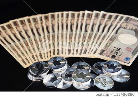 美しい輝きを放つ実物資産の銀貨と紙幣 113480886