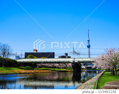 桜咲く土手から見るスカイツリー 桜咲く土手から見るスカイツリー 113481138