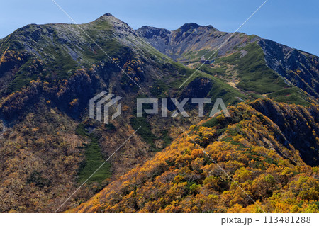 馬ノ背から見る秋色の南アルプス・仙丈ヶ岳 113481288