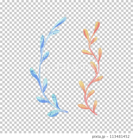 Seaweed, coral, ocean underwater coral reef animals. Watercolor illustration, hand drawn in pastel colors: pink, peach, coral, turquoise, blue. Set of elements isolated from background. Seaweed, coral, ocean underwater coral reef animals. Watercolor illustration, hand drawn in pastel colors: pink, peach, coral, turquoise, blue. Set of elements isolated from background. 113481452