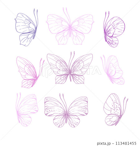Butterflies are pink, blue, lilac, flying, delicate line art, clip art. Graphic illustration hand drawn in pink, lilac ink. Set of isolated objects EPS vector. 113481455