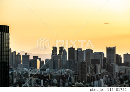 【東京都】夕日に染まる新宿副都心のビル群 113481732