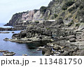 国道305号線 113481750