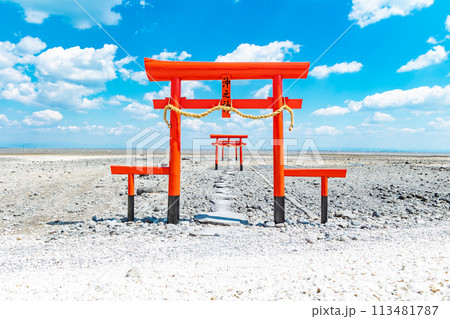 魚神社の神秘的な海中鳥居 113481787
