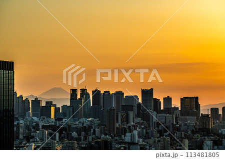 【東京都】夕日に染まる新宿副都心のビル群 113481805