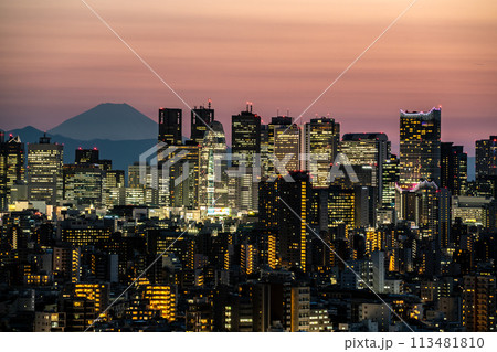 【東京都】夕日に染まる新宿副都心のビル群 【東京都】夕日に染まる新宿副都心のビル群 113481810