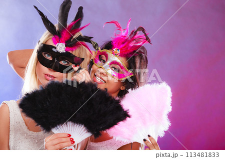 Two women with carnival venetian masks 113481833
