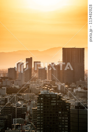 【東京都】夕日に染まる都会の街並み 113482028