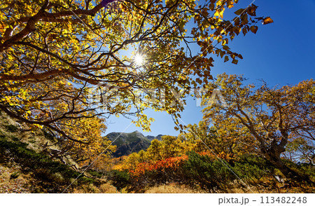 馬ノ背の紅葉と南アルプス・仙丈ヶ岳 馬ノ背の紅葉と南アルプス・仙丈ヶ岳 113482248