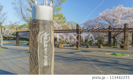 【千葉県千葉市】おゆみ野さくら公園と桜 113482255