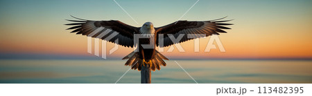 Eagle flies with spread wings and hunts prey against sky and sea background at sunset 113482395