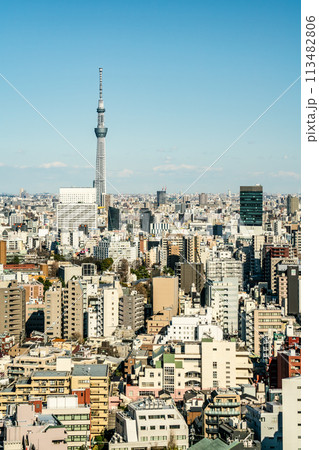 【東京都】青空の中にそびえ立つ東京スカイツリーと周辺の都市風景 113482806