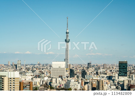 【東京都】青空の中にそびえ立つ東京スカイツリーと周辺の都市風景 113482809