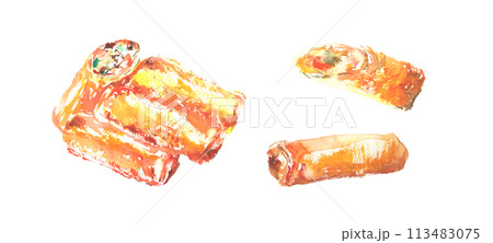 水彩で描いた生春巻きのイラスト 水彩で描いた生春巻きのイラスト 113483075