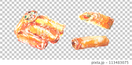水彩で描いた生春巻きのイラスト 水彩で描いた生春巻きのイラスト 113483075