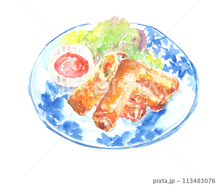 水彩で描いた揚げ春巻きのイラスト 113483076