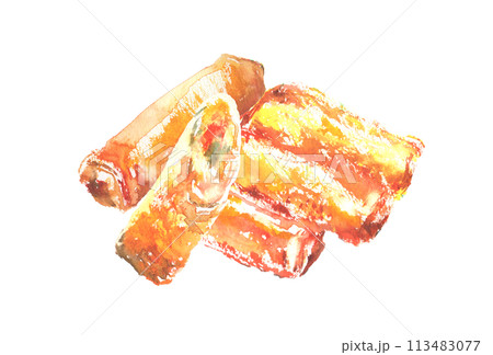 水彩で描いた揚げ春巻きのイラスト 113483077