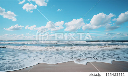 View of the sky and beach by the sea. 113483311
