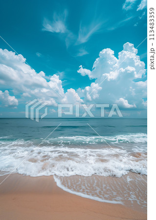 View of the sky and beach by the sea. 113483359